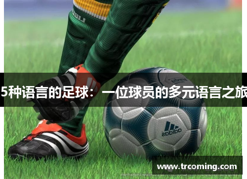 5种语言的足球：一位球员的多元语言之旅